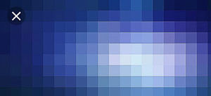 Meet your Posher, Dylan